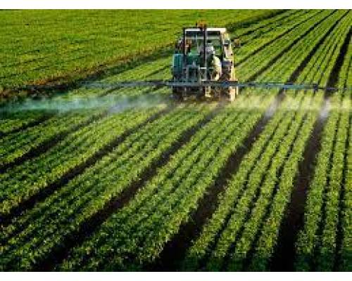 До уваги суб’єктів господарювання, діяльність яких пов’язана з обігом пестицидів