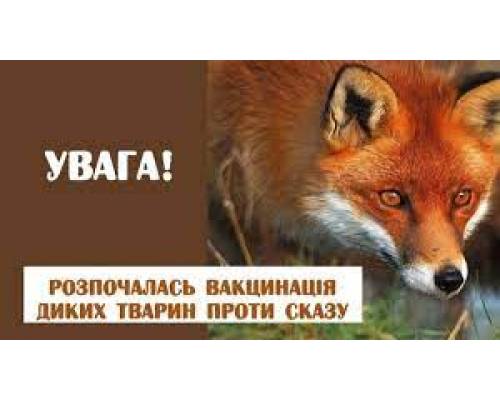 На Харківщині стартує осіння пероральна імунізація диких тварин проти сказу