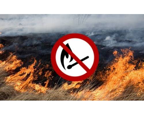 Про заборону спалювання сухої трави